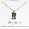 Tony Bianco Gold Aquarius Zodiac Necklace