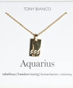 Tony Bianco Gold Aquarius Zodiac Necklace