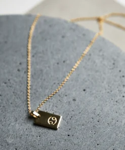 Tony Bianco Gold Cancer Zodiac Necklace Accessories