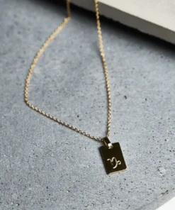 Tony Bianco Gold Capricorn Zodiac Necklace Accessories