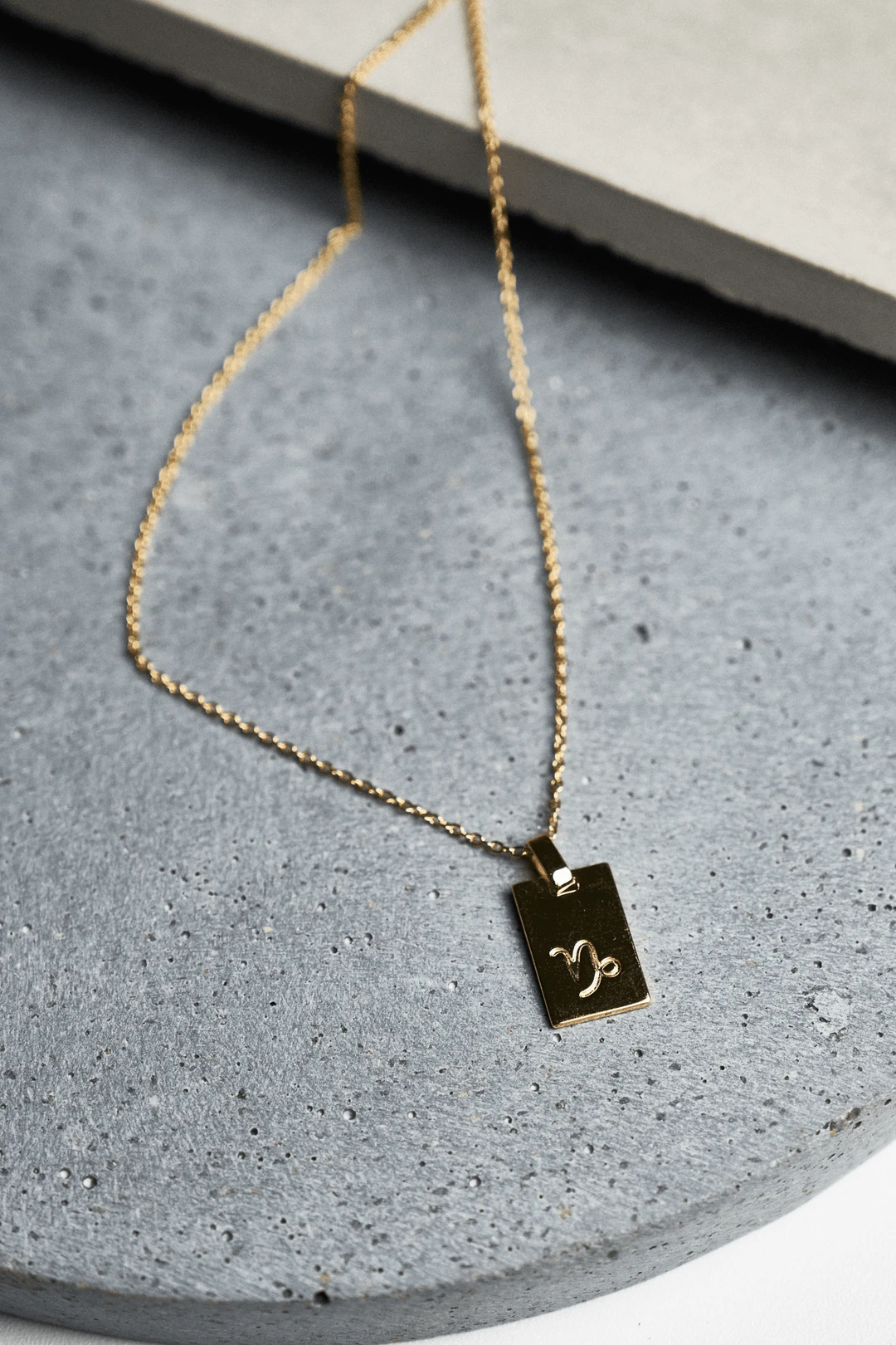 Tony Bianco Gold Capricorn Zodiac Necklace Accessories 4 Tony Bianco Gold Capricorn Zodiac Necklace Accessories