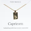Tony Bianco Gold Capricorn Zodiac Necklace Accessories