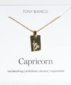 Tony Bianco Gold Capricorn Zodiac Necklace Accessories