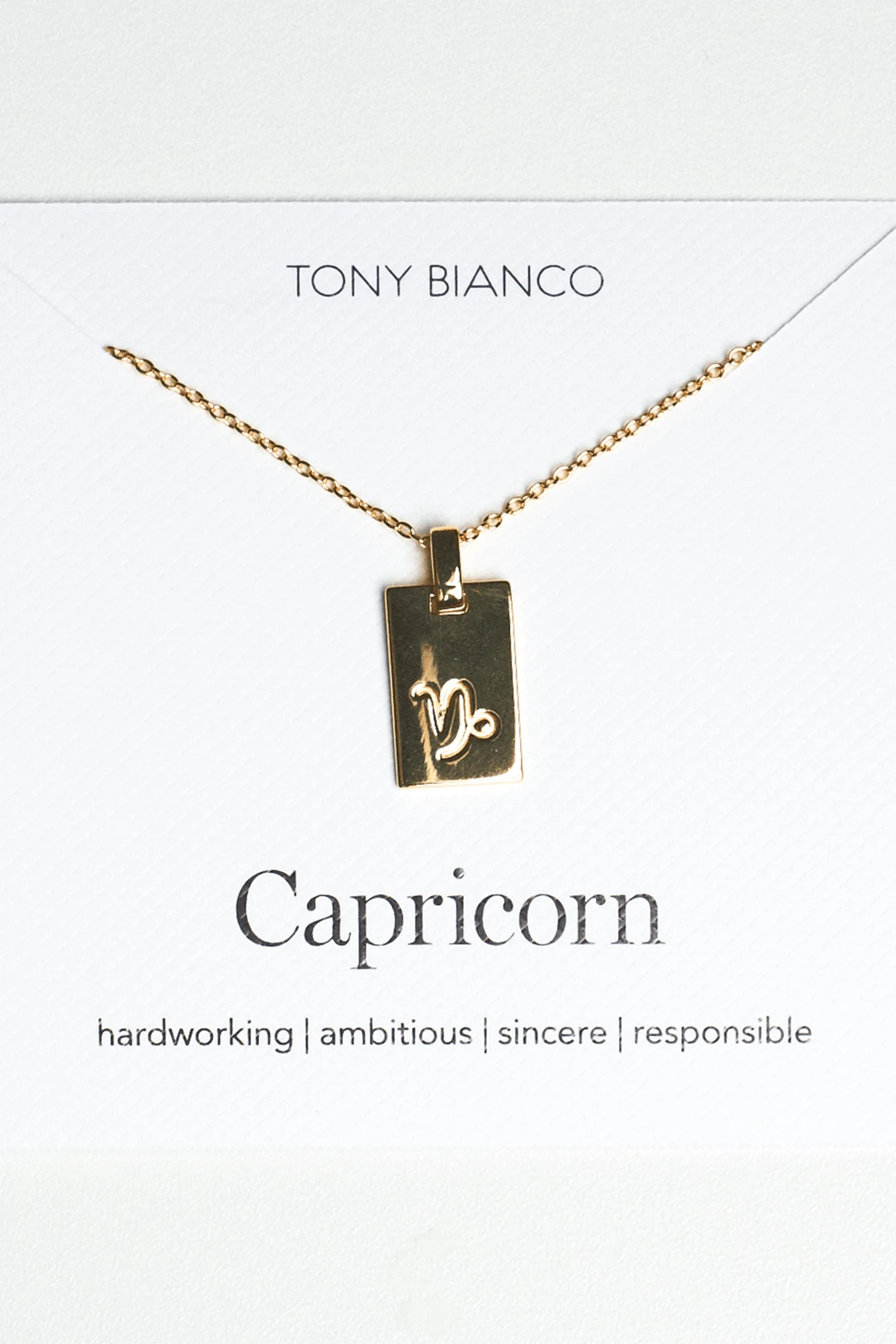 Tony Bianco Gold Capricorn Zodiac Necklace Accessories 3 Tony Bianco Gold Capricorn Zodiac Necklace Accessories