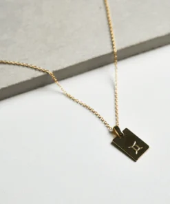 Tony Bianco Gold Gemini Zodiac Necklace Accessories