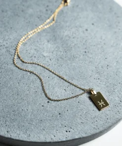 Tony Bianco Gold Pisces Zodiac Necklace Accessories