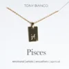 Tony Bianco Gold Pisces Zodiac Necklace Accessories