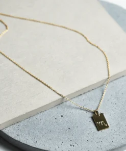 Tony Bianco Gold Scorpio Zodiac Necklace Accessories