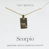 Tony Bianco Gold Scorpio Zodiac Necklace Accessories 1 Tony Bianco Gold Scorpio Zodiac Necklace Accessories