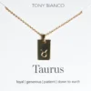 Tony Bianco Accessories Gold Taurus Zodiac Necklace 2 Tony Bianco Accessories Gold Taurus Zodiac Necklace